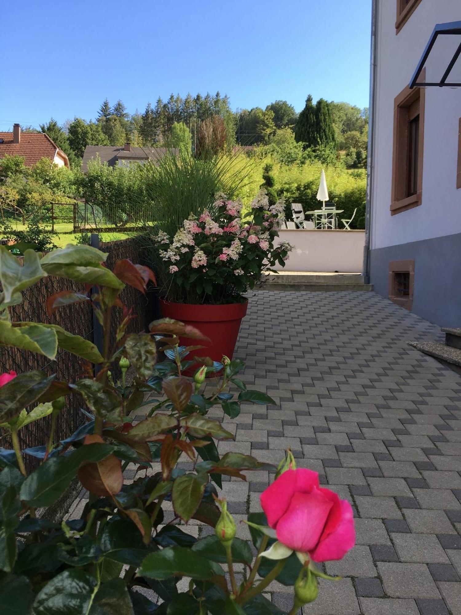 BarembachLes Magnolias En Alsace - Meuble De Tourisme 3 Etoilesアパートメント エクステリア 写真