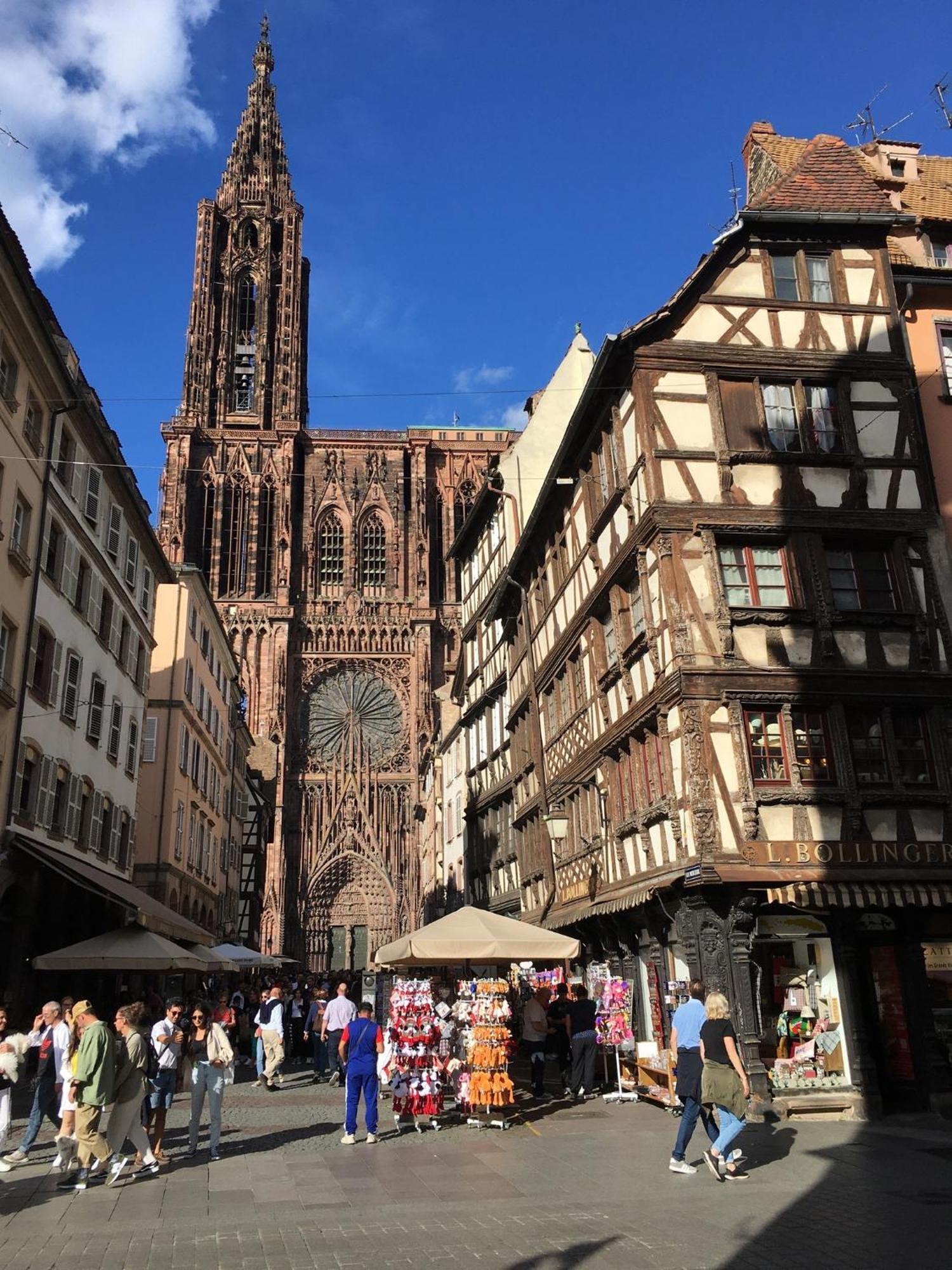 BarembachLes Magnolias En Alsace - Meuble De Tourisme 3 Etoilesアパートメント エクステリア 写真